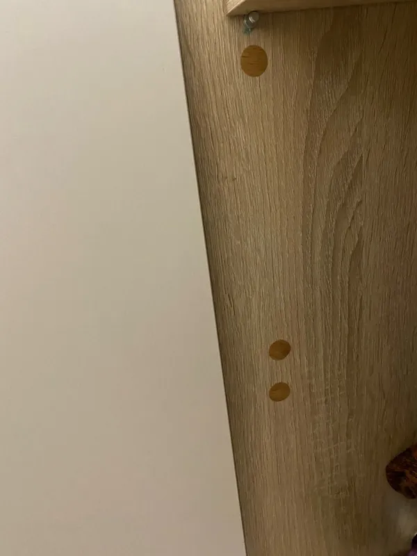 Заглушка для саморезов Сосна оланда белая