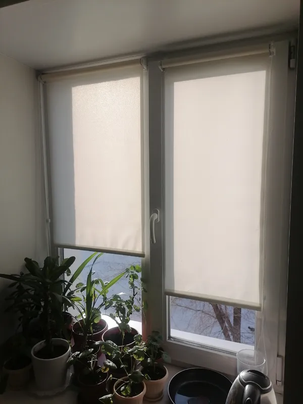 Роллета ШАНТУНГ УЮТ 67*175 Белый